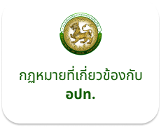 Link 13